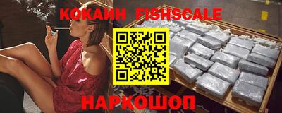 крисы Славгород