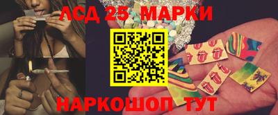 крисы Славгород