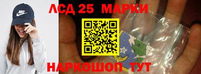 крисы Славгород