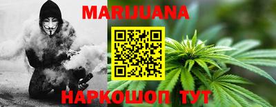 крисы Славгород