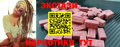крисы Славгород