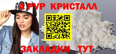 крисы Славгород