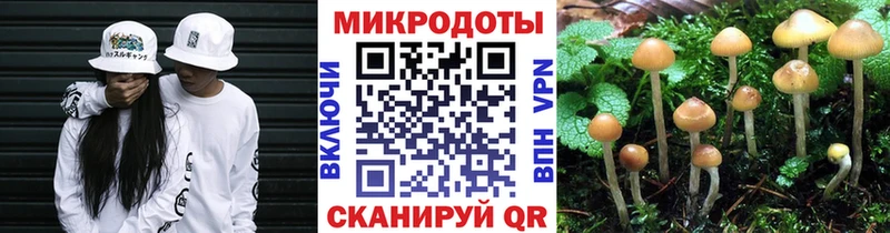 Галлюциногенные грибы Cubensis  Полевской 
