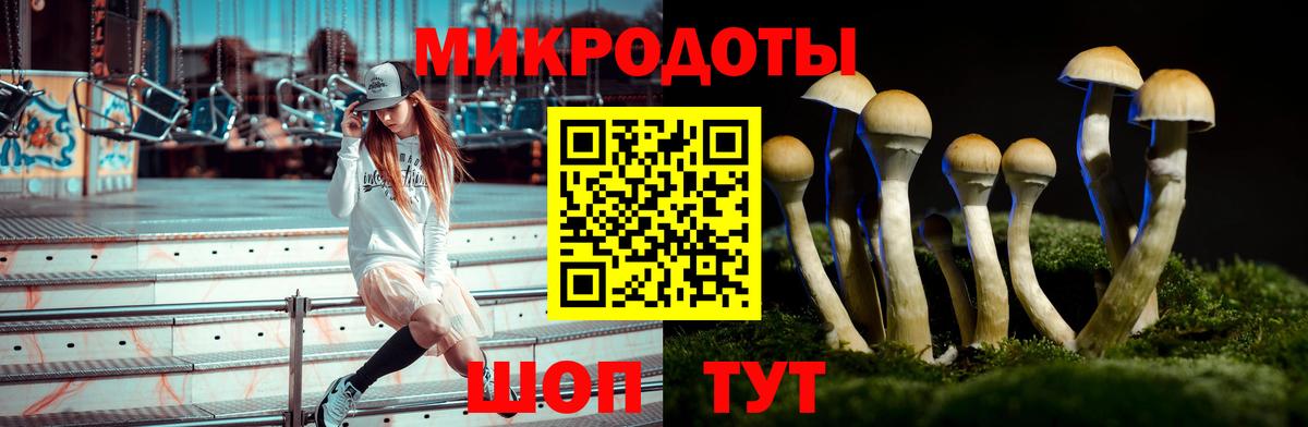 Псилоцибиновые грибы прущие грибы Полевской